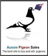 Aussie Pigeon Sales