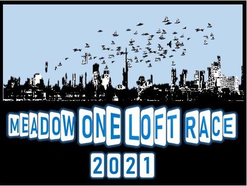 Meadow One Loft Race 2020